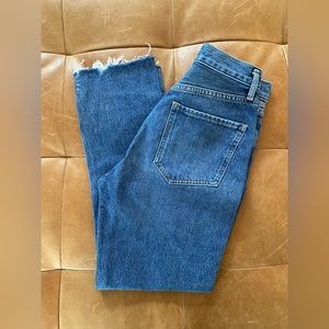 AGOLDE Riley High Rise Straight Crop in Veto